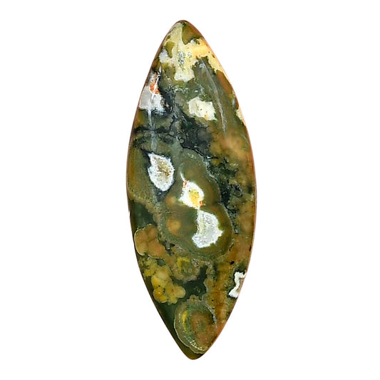 Rhyolite - Rainforest Jasper 34.3x13.1x5 mm Marquise Gemstone LS03482-58