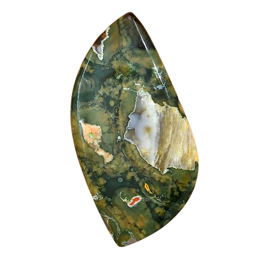 Rhyolite - Rainforest Jasper 41.1x20.4x4.5 mm Fancy Gemstone LS03484-58