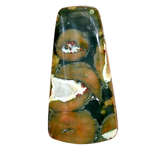 Rhyolite - Rainforest Jasper 27.75x14x5.2 mm Fancy Gemstone LS03489-58