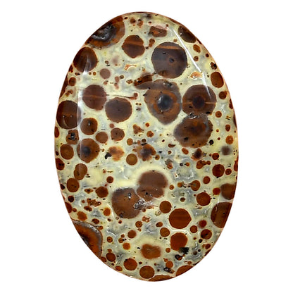 Asteroid Jasper 34x23.15x4.8 mm Oval Gemstone LS03617-62