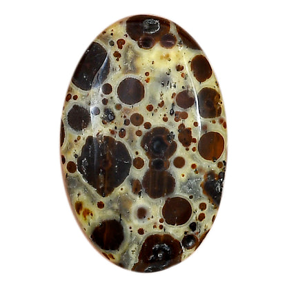 Asteroid Jasper 28.85x19x4.8 mm Oval Gemstone LS03619-62