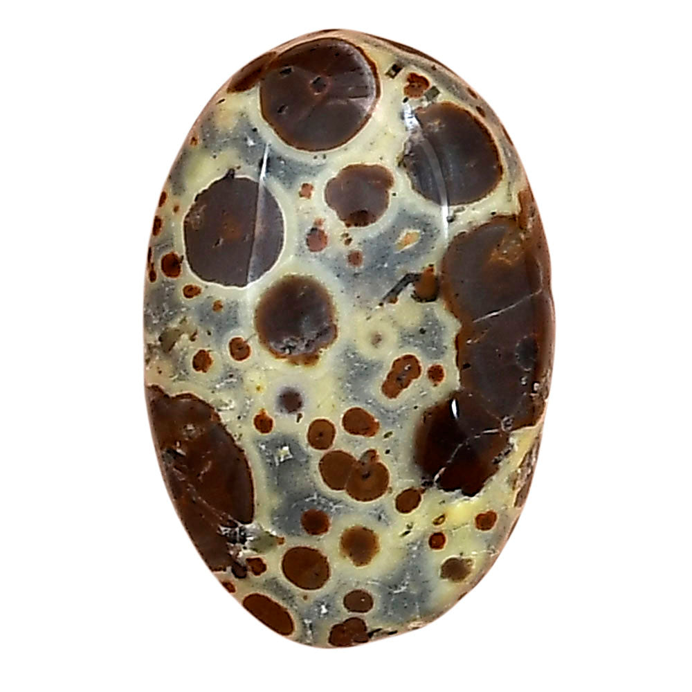 Asteroid Jasper 24.1x16.1x6 mm Oval Gemstone LS03622-62