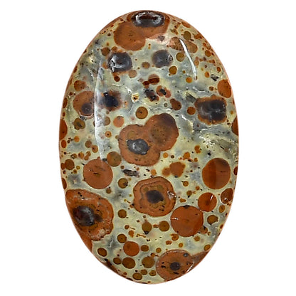 Asteroid Jasper 29.65x19.5x5.7 mm Oval Gemstone LS03623-62