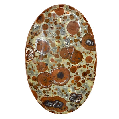 Asteroid Jasper 32x20.8x6 mm Oval Gemstone LS03625-62