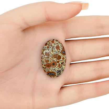 Asteroid Jasper 32x20.8x6 mm Oval Gemstone LS03625-62