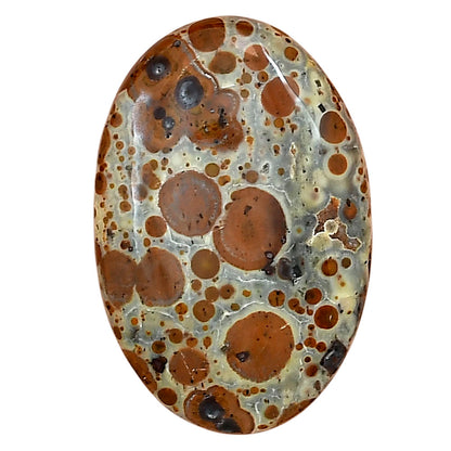 Asteroid Jasper 31x20.6x5 mm Oval Gemstone LS03626-62