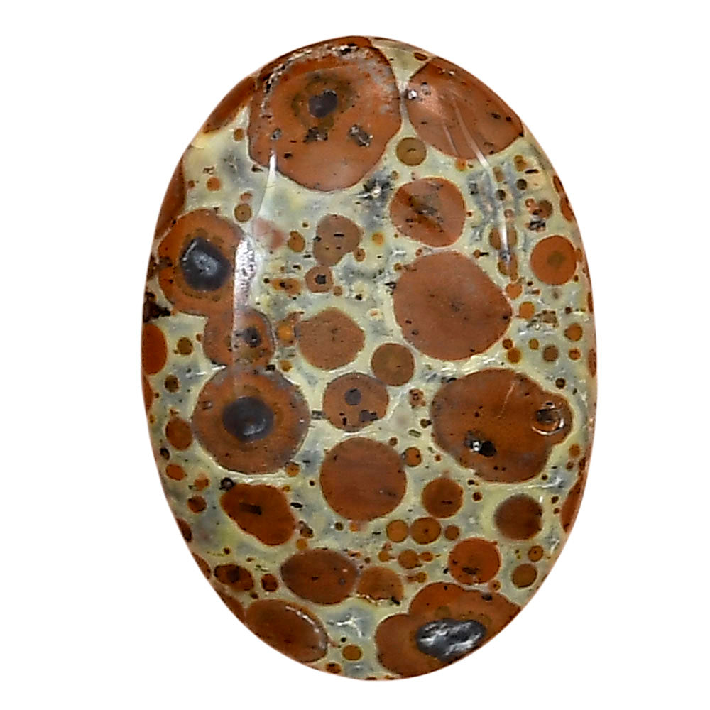 Asteroid Jasper 28x19.7x4.8 mm Oval Gemstone LS03627-62