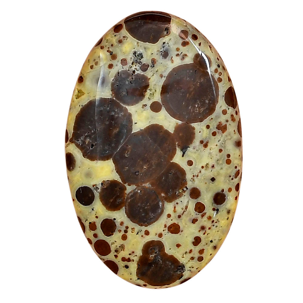 Asteroid Jasper 37x23.6x5.8 mm Oval Gemstone LS03629-62