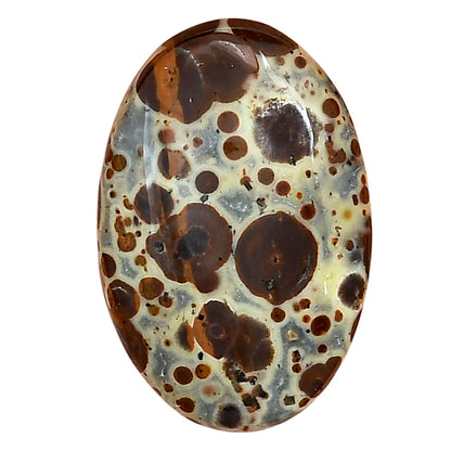 Asteroid Jasper 29.2x19.4x5.5 mm Oval Gemstone LS03630-62