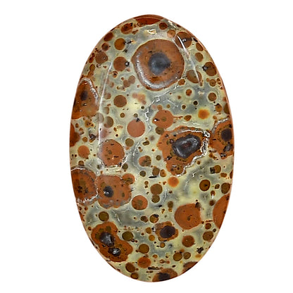 Asteroid Jasper 31x19.15x5.5 mm Oval Gemstone LS03634-62