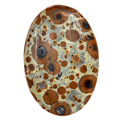 Asteroid Jasper 29.4x20x5 mm Oval Gemstone LS03635-62