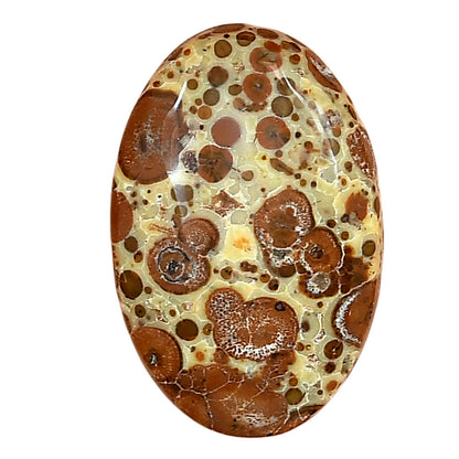 Asteroid Jasper 28.3x18.7x5.7 mm Oval Gemstone LS03637-62