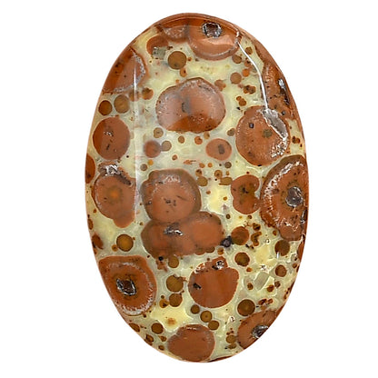 Asteroid Jasper 31.75x20.35x6 mm Oval Gemstone LS03638-62