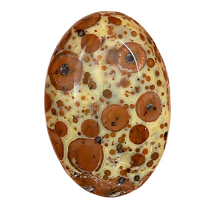Asteroid Jasper 25x17.1x6 mm Oval Gemstone LS03639-62