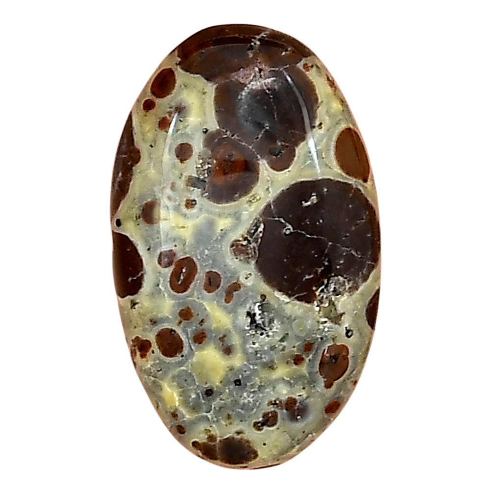 Asteroid Jasper 24.5x14.85x5 mm Oval Gemstone LS03640-62