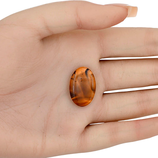 Montana Agate 23.4x15.5x4 mm Oval Gemstone LS03906-40