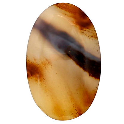 Montana Agate 26.1x16.6x5.5 mm Oval Gemstone LS03908-40