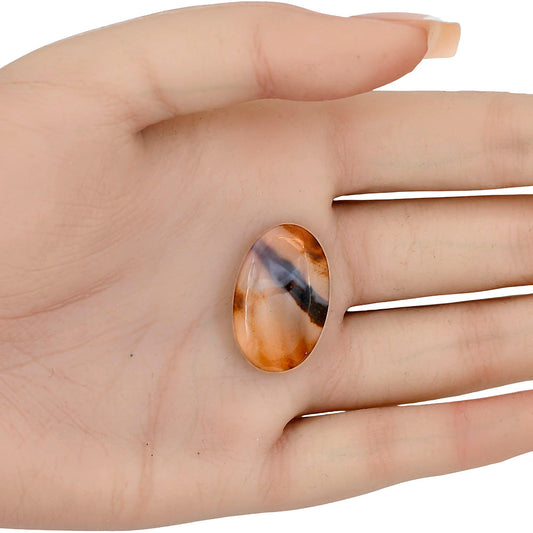 Montana Agate 26.1x16.6x5.5 mm Oval Gemstone LS03908-40