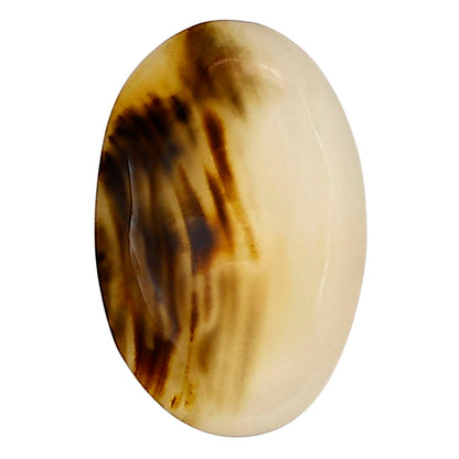 Montana Agate 24x15.6x5.5 mm Oval Gemstone LS03909-40