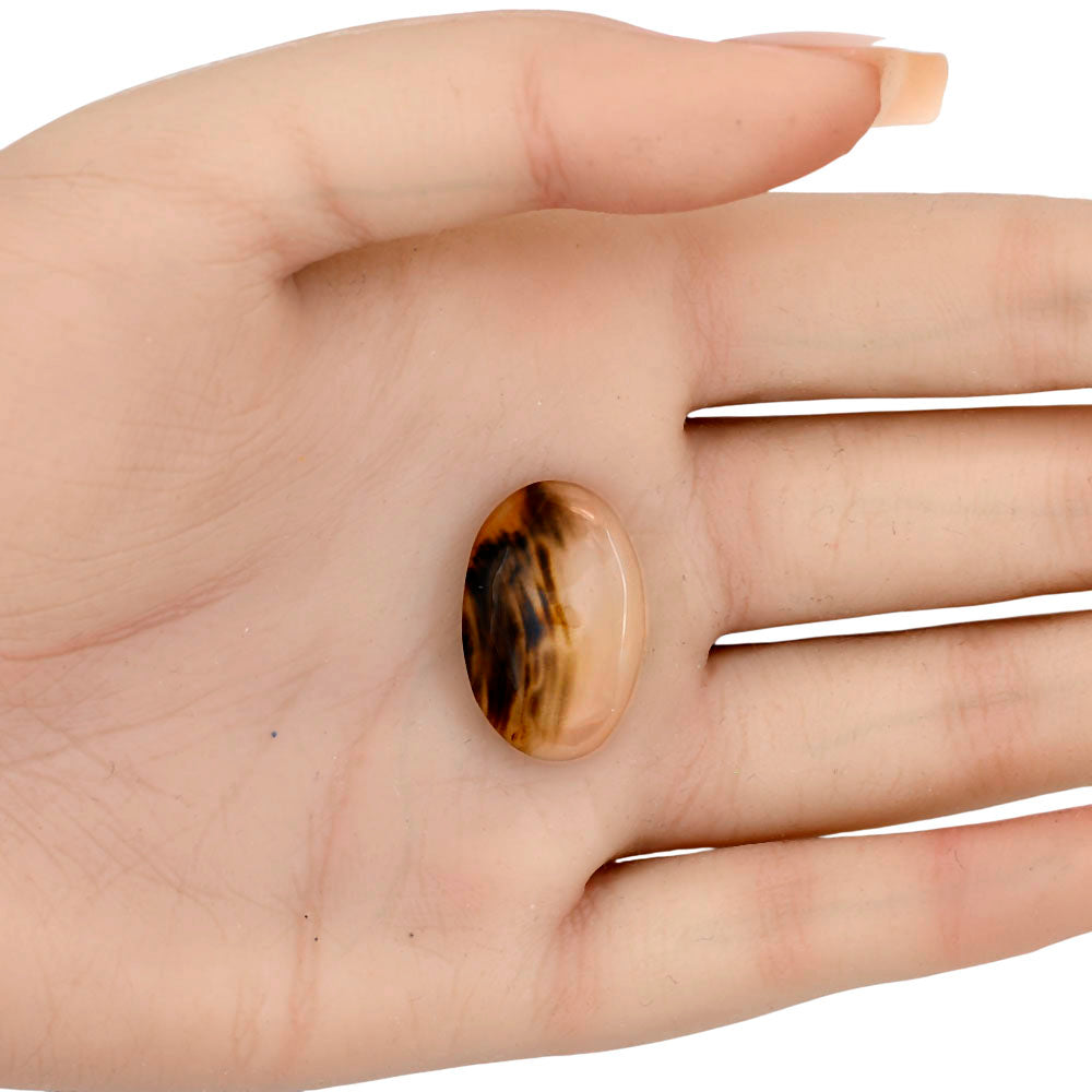 Montana Agate 24x15.6x5.5 mm Oval Gemstone LS03909-40