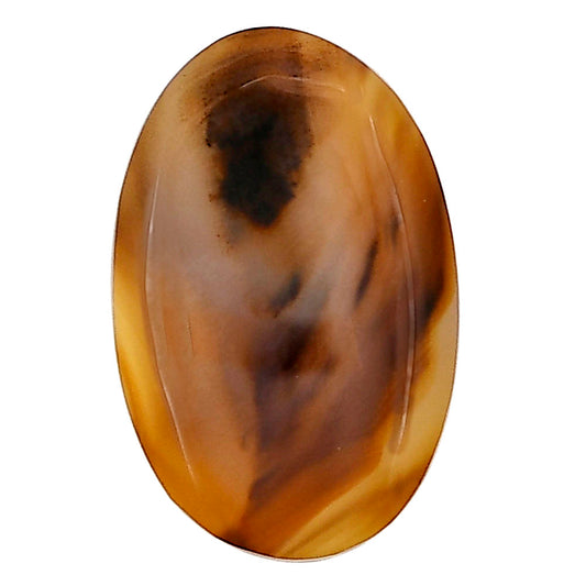 Montana Agate 25.35x16.5x4 mm Oval Gemstone LS03914-40