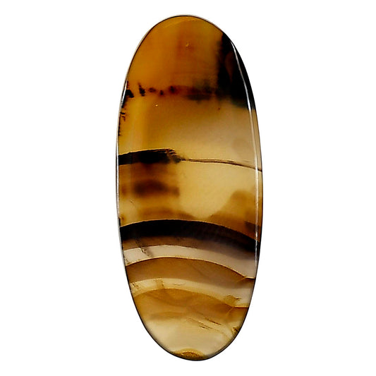 Montana Agate 34.1x14.5x3.3 mm Oval Gemstone LS03920-40