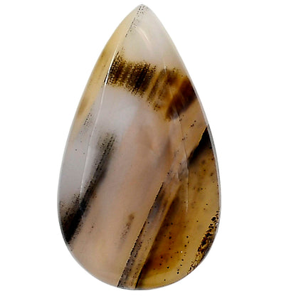 Montana Agate 31x17.8x5.5 mm Pear Gemstone LS03922-40