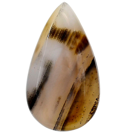 Montana Agate 31x17.8x5.5 mm Pear Gemstone LS03922-40