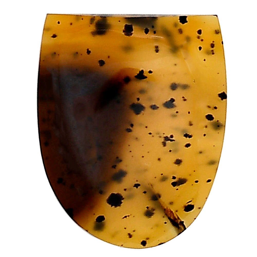 Montana Agate 21.5x17.4x4.3 mm Fancy Gemstone LS03924-40