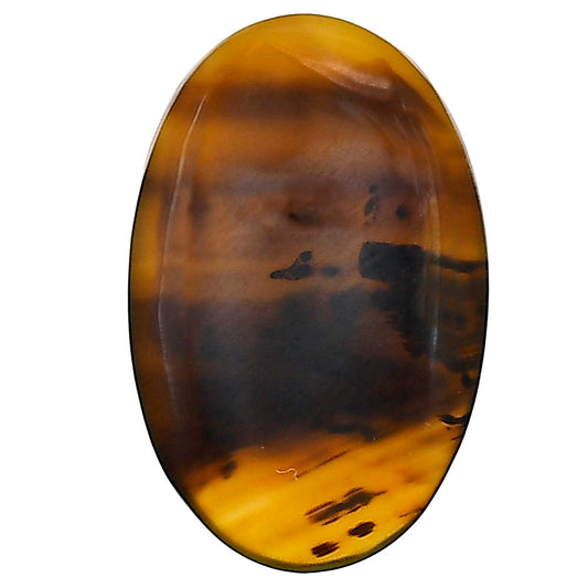 Montana Agate 27.25x17.6x4.3 mm Oval Gemstone LS03926-40
