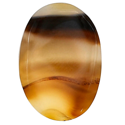 Montana Agate 25.25x17.8x4 mm Oval Gemstone LS03929-40