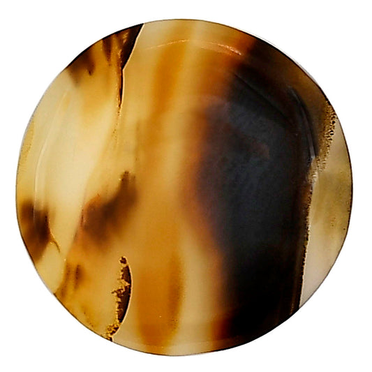 Montana Agate 21.2x21.2x4 mm Round Gemstone LS03931-40