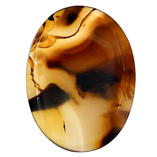 Montana Agate 23.3x17.6x3.5 mm Oval Gemstone LS03935-40