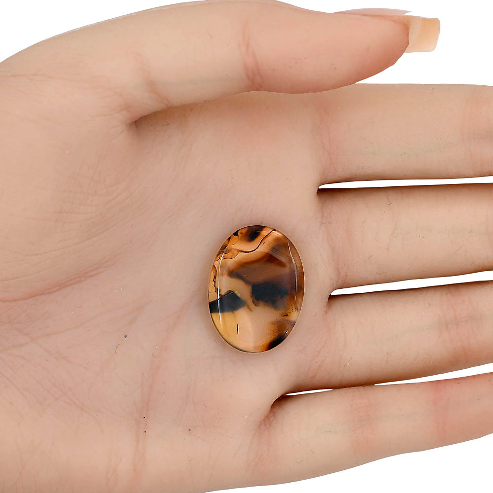 Montana Agate 23.3x17.6x3.5 mm Oval Gemstone LS03935-40