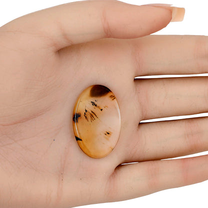 Montana Agate 32.65x21.6x2.3 mm Oval Gemstone LS03936-40