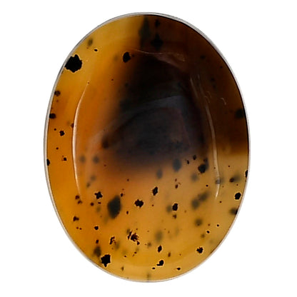 Montana Agate 22.7x17.5x4.5 mm Oval Gemstone LS03937-40