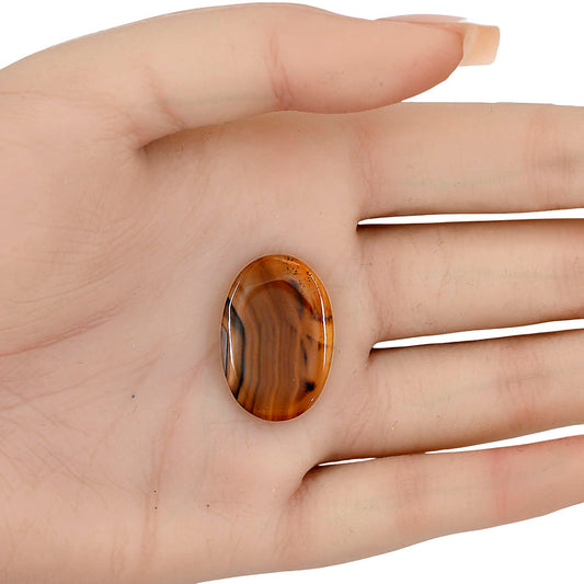 Montana Agate 26.3x17.9x3.3 mm Oval Gemstone LS03938-40