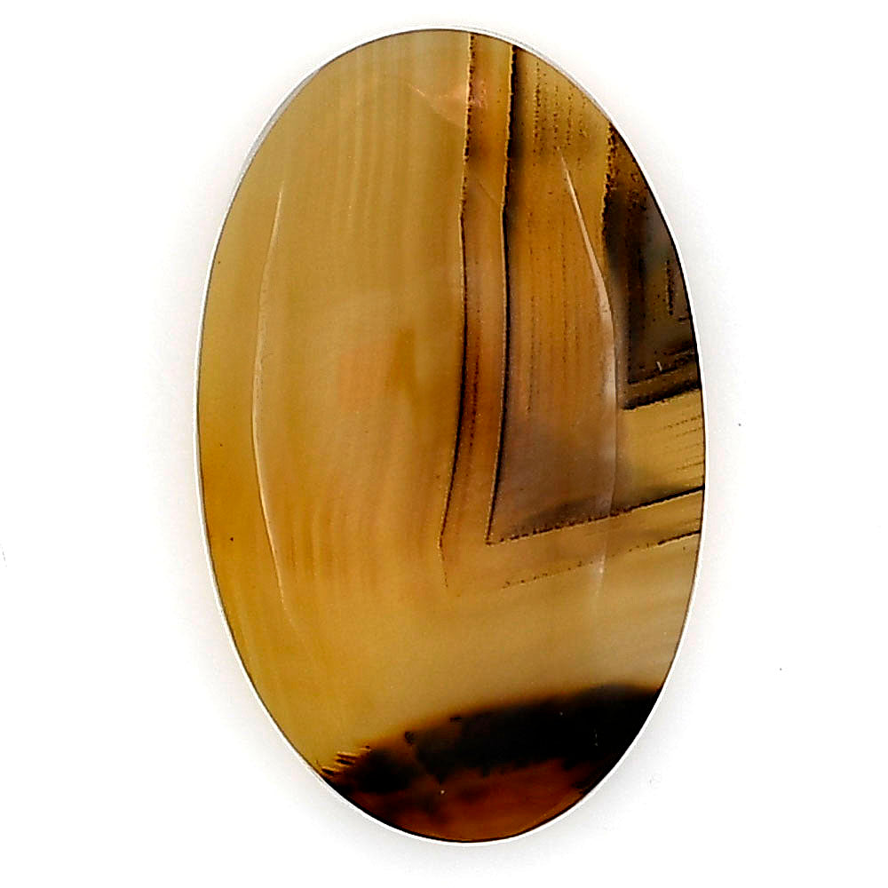 Montana Agate 27.7x17.3x5 mm Oval Gemstone LS03939-40