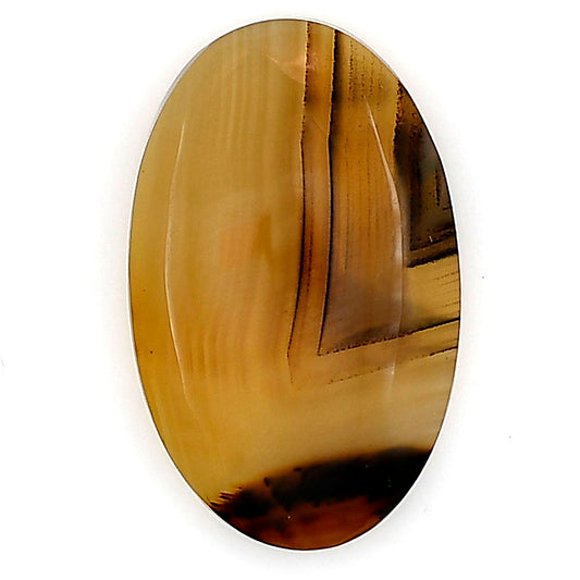 Montana Agate 27.7x17.3x5 mm Oval Gemstone LS03939-40