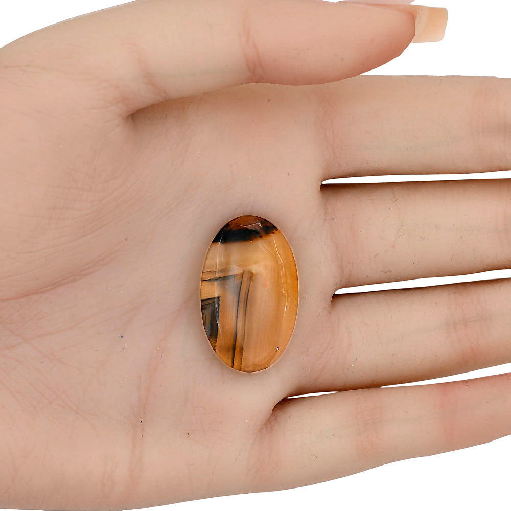 Montana Agate 27.7x17.3x5 mm Oval Gemstone LS03939-40