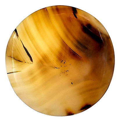 Montana Agate 22.8x22.8x4 mm Round Gemstone LS03944-40