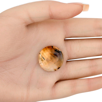 Montana Agate 22.8x22.8x4 mm Round Gemstone LS03944-40