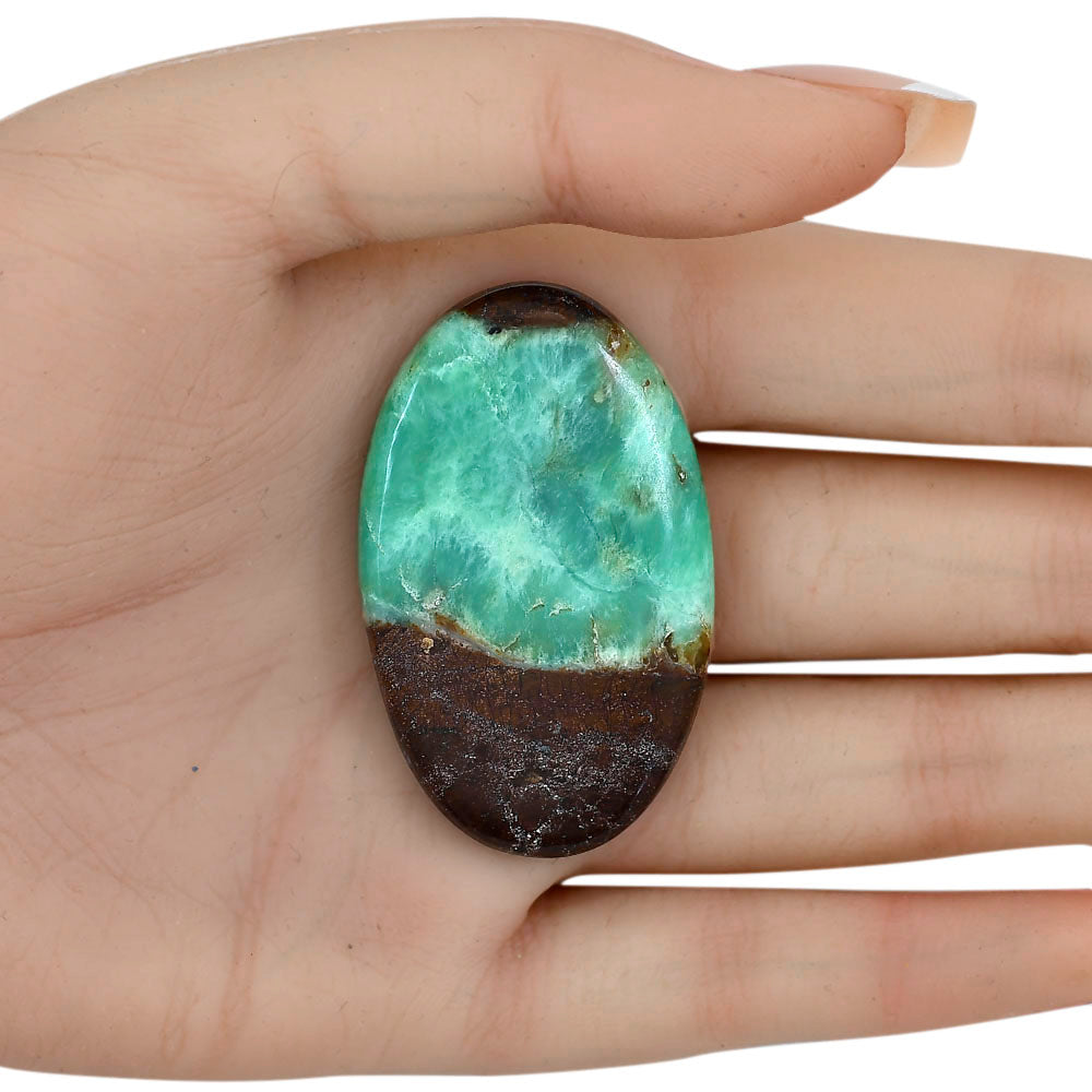 Boulder Chrysoprase 48.5x29.8x6.3 mm Oval Gemstone LS03963-67