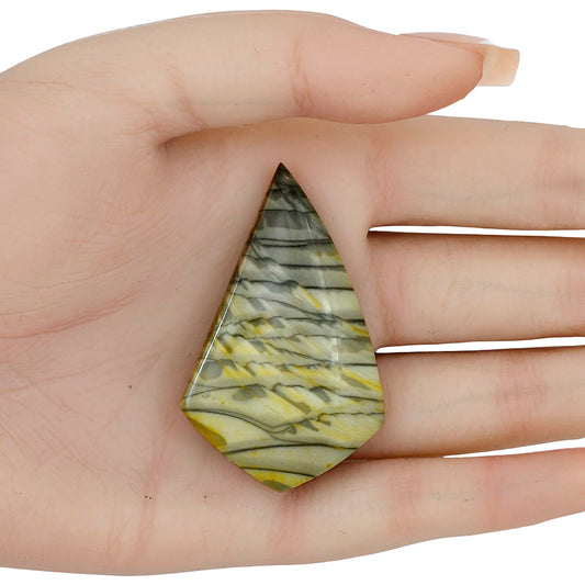 Willow Creek Jasper 52.6x33x6.3 mm Fancy Gemstone LS04056-99