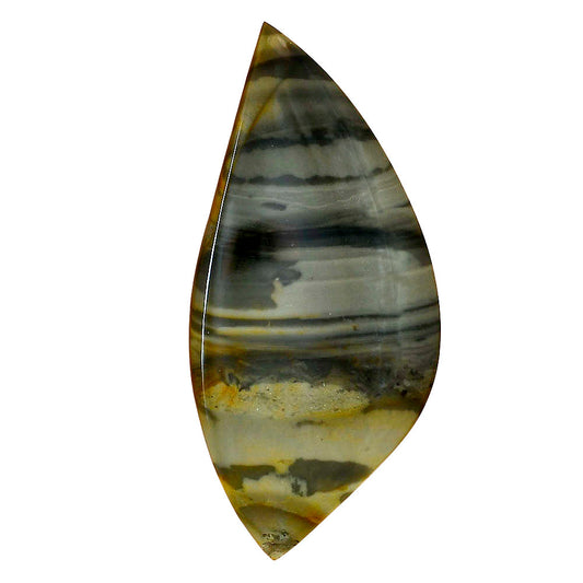 Willow Creek Jasper 57.4x27x4.5 mm Fancy Gemstone LS04059-99
