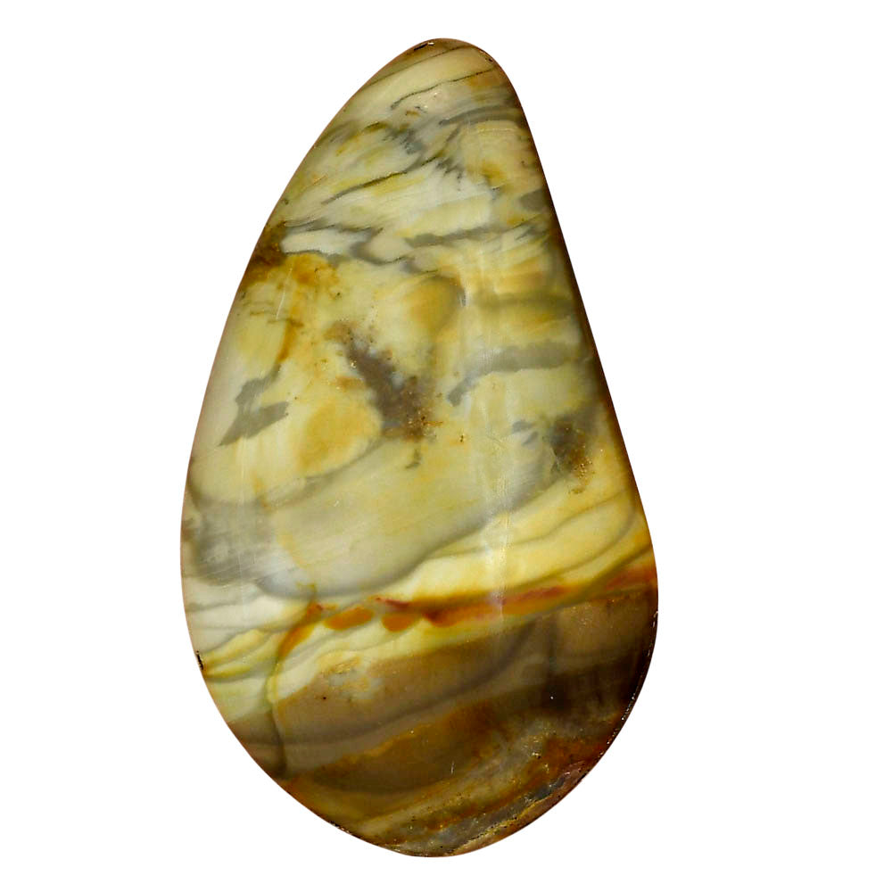 Willow Creek Jasper 50.4x29.6x5.5 mm Fancy Gemstone LS04061-99