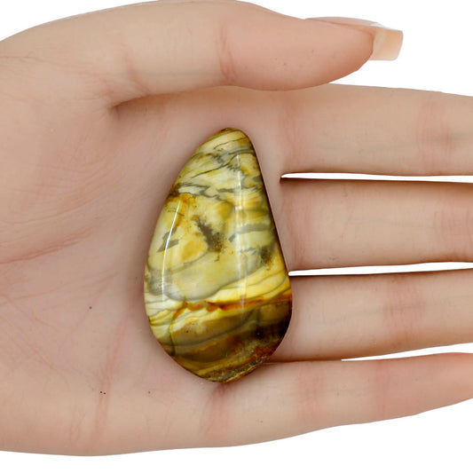 Willow Creek Jasper 50.4x29.6x5.5 mm Fancy Gemstone LS04061-99