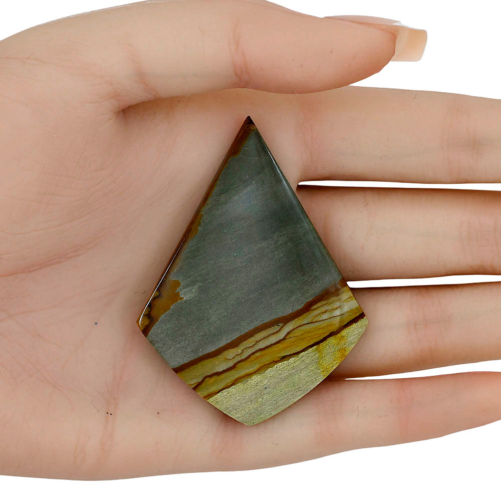 Picture Jasper 57.7x43.5x5 mm Fancy Gemstone LS04064-99