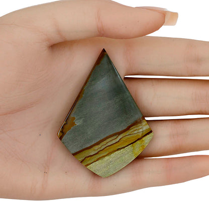 Picture Jasper 57.7x43.5x5 mm Fancy Gemstone LS04064-99