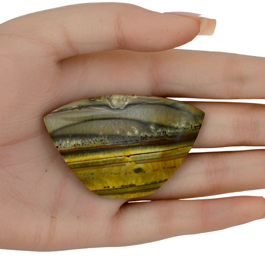 Willow Creek Jasper 58.85x37.9x5.5 mm Fancy Gemstone LS04066-99